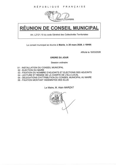 REUNION DU CONSEIL MUNICIPAL