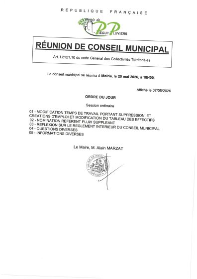 REUNION CONSEIL MUNICIPAL 20/05/26